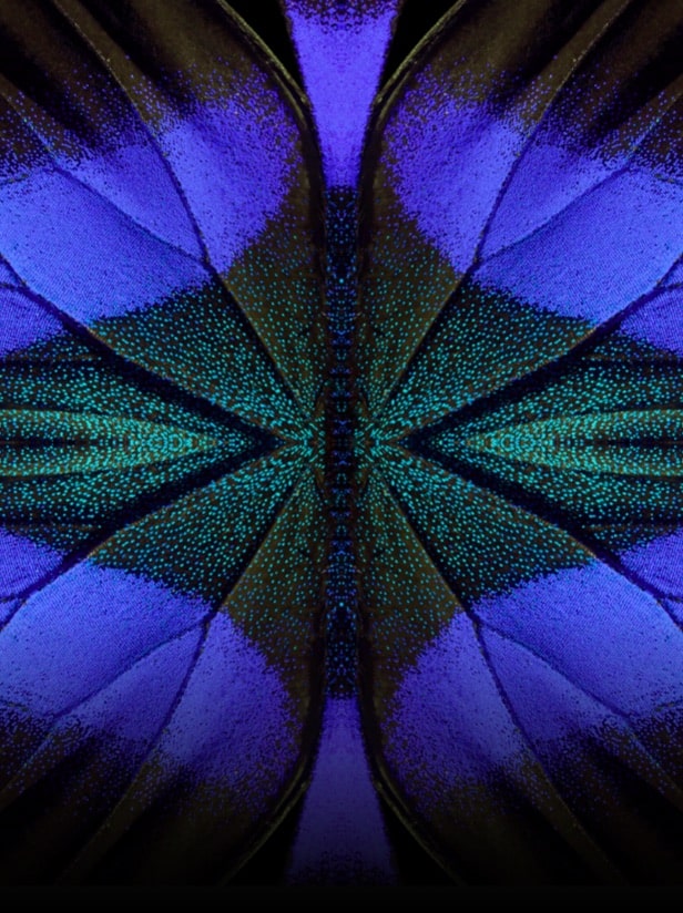 night vision