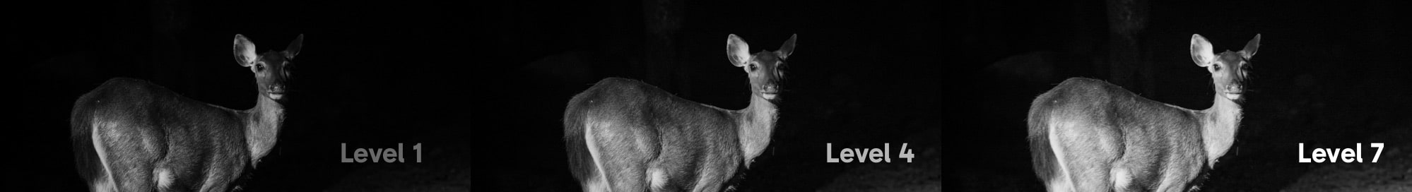 night vision